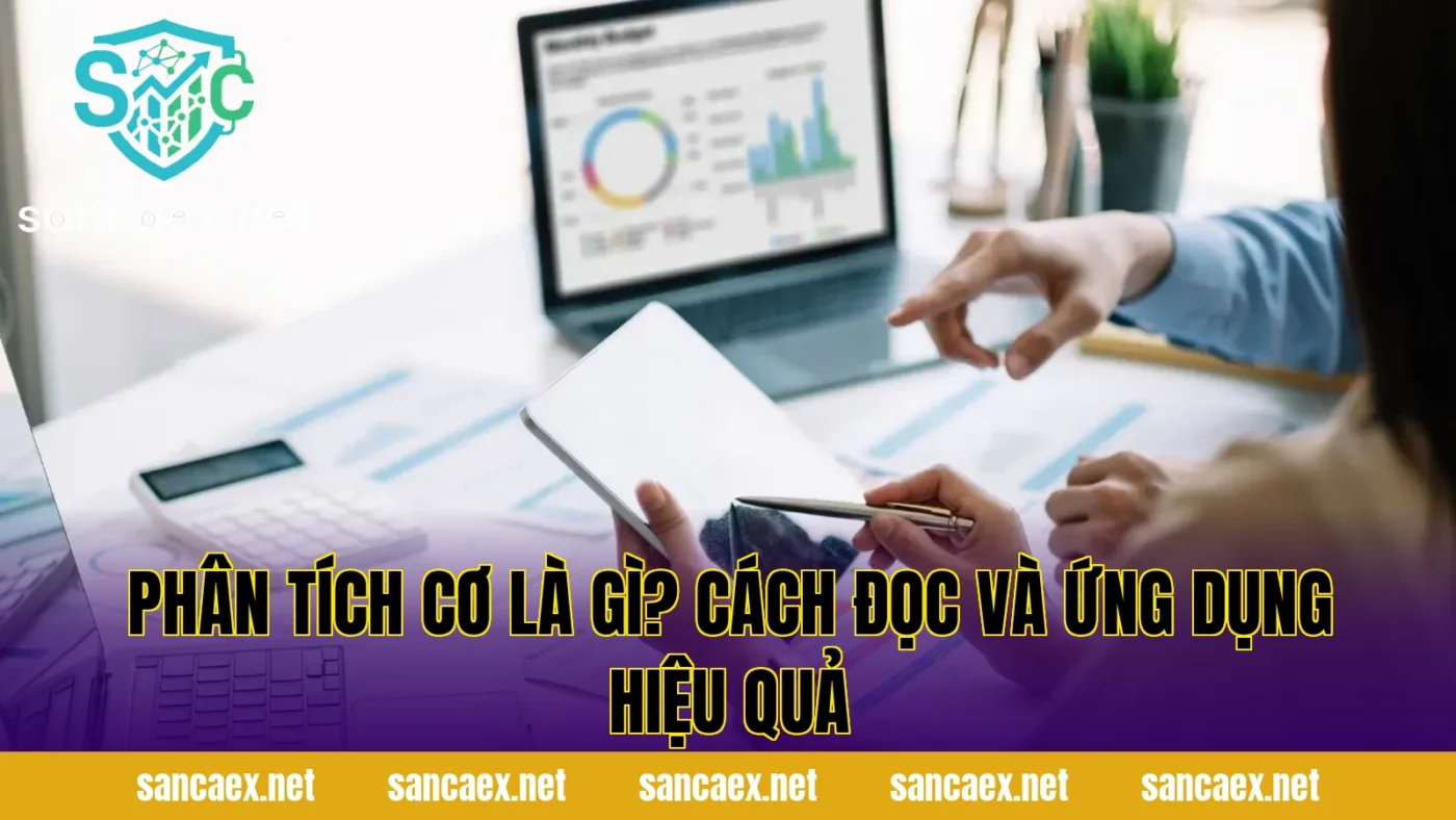 Phân Tích Cơ Là Gì? Cách Đọc Và Ứng Dụng Hiệu Quả
