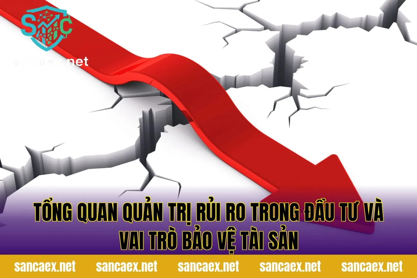 Tổng quan quản trị rủi ro trong đầu tư và vai trò bảo vệ tài sản