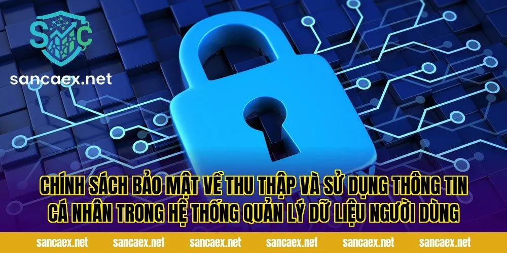 Chính sách bảo mật về thu thập và sử dụng thông tin cá nhân trong hệ thống quản lý dữ liệu người dùng
