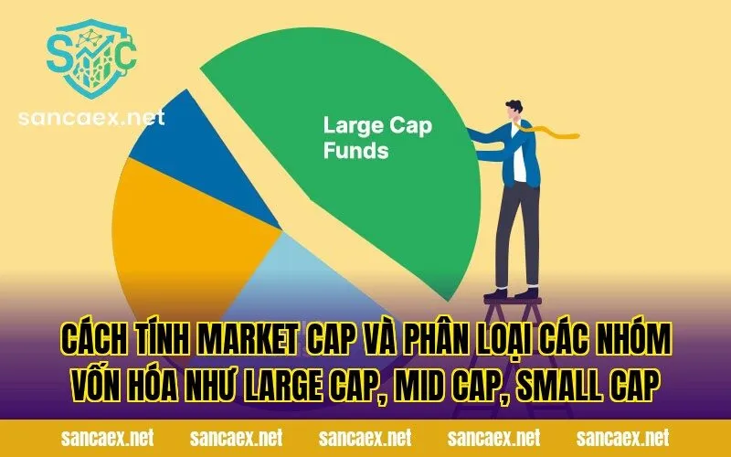 Cách tính market cap và phân loại các nhóm vốn hóa như large cap, mid cap, small cap
