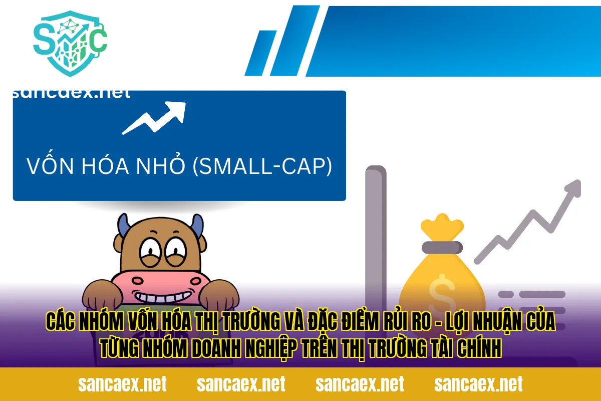 Các nhóm vốn hóa thị trường và đặc điểm rủi ro – lợi nhuận của từng nhóm doanh nghiệp trên thị trường tài chính