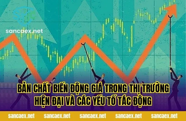 Bản chất biến động giá trong thị trường hiện đại và các yếu tố tác động