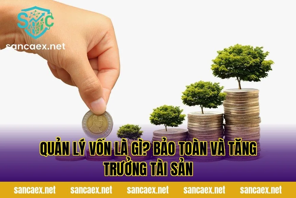 Quản Lý Vốn Là Gì? Bảo Toàn Và Tăng Trưởng Tài Sản