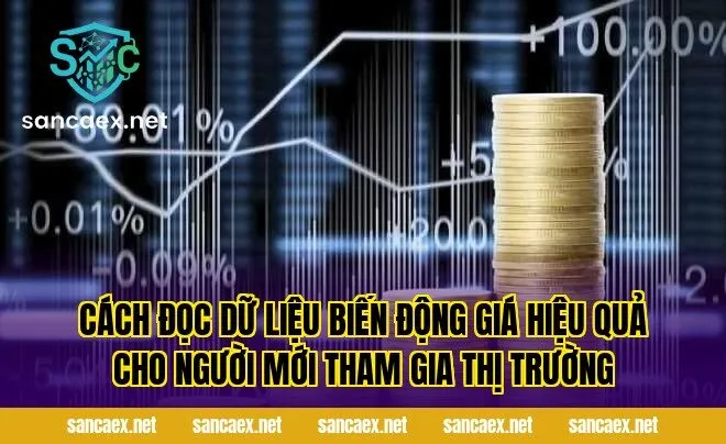 Cách đọc dữ liệu biến động giá hiệu quả cho người mới tham gia thị trường