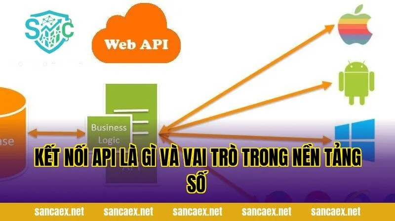 Kết nối api là gì và vai trò trong nền tảng số