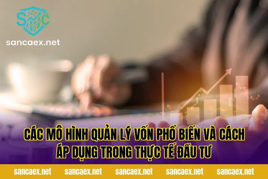 Các mô hình quản lý vốn phổ biến và cách áp dụng trong thực tế đầu tư